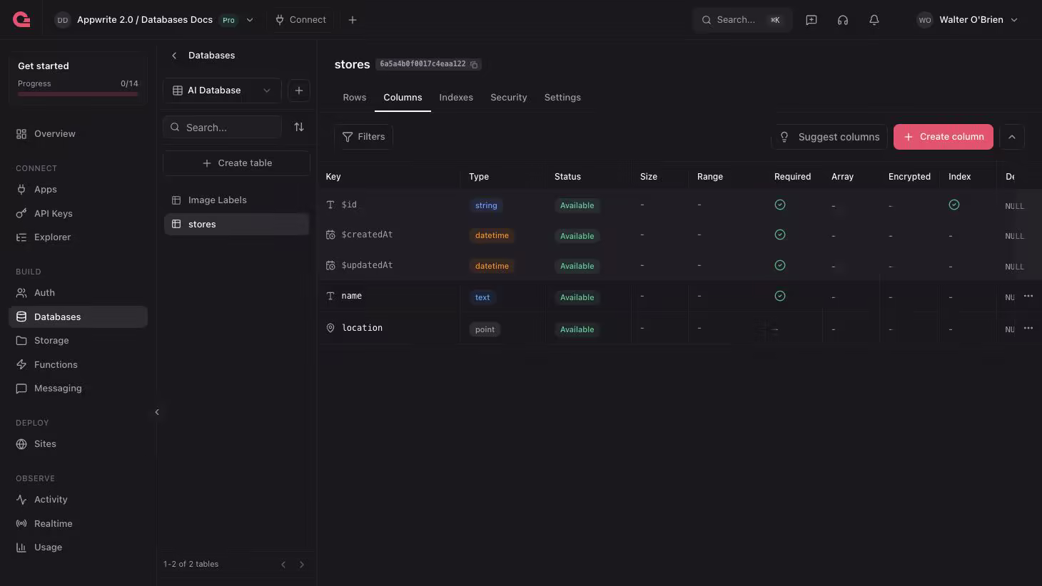 Adding spatial columns in Appwrite console