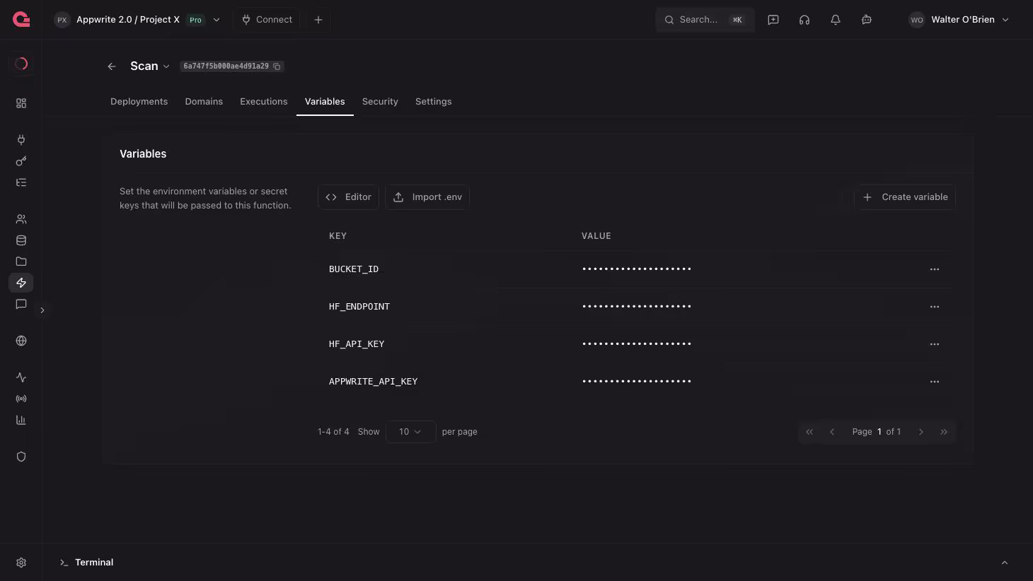 Environment Variables