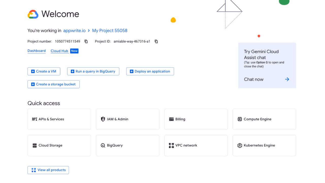 Google developer console project dashboard