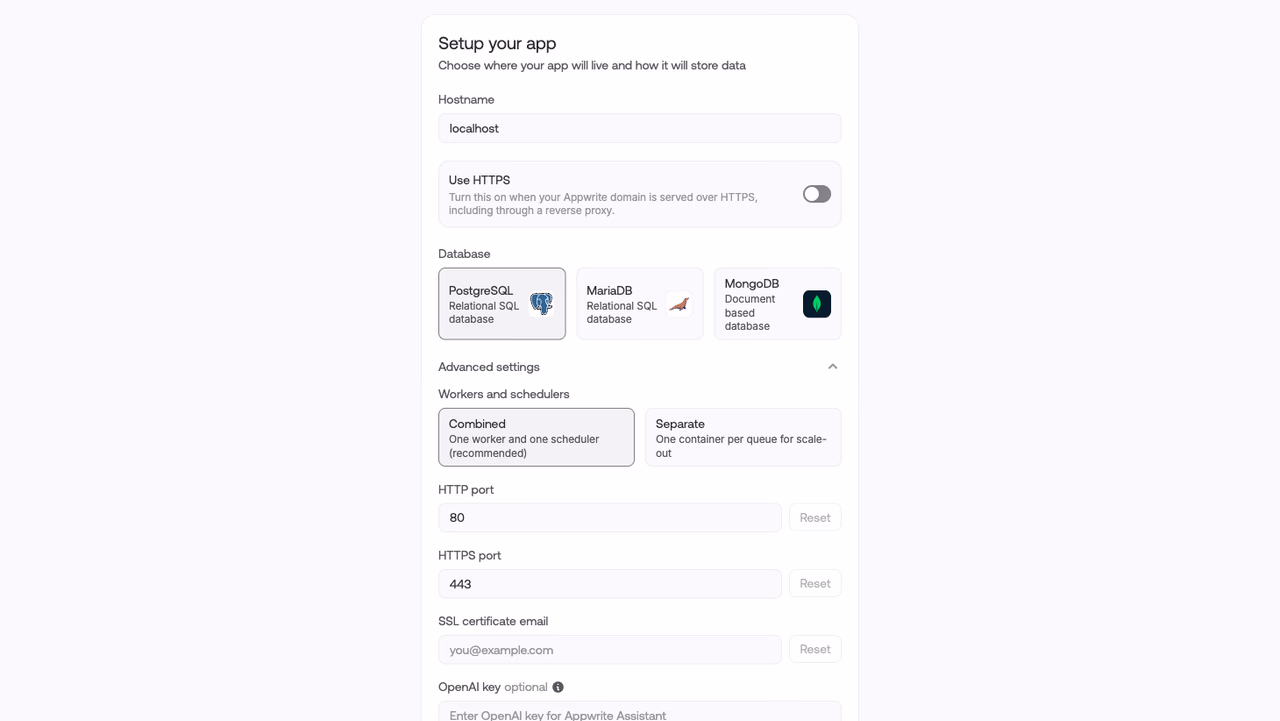 Workers and schedulers selection in the setup wizard