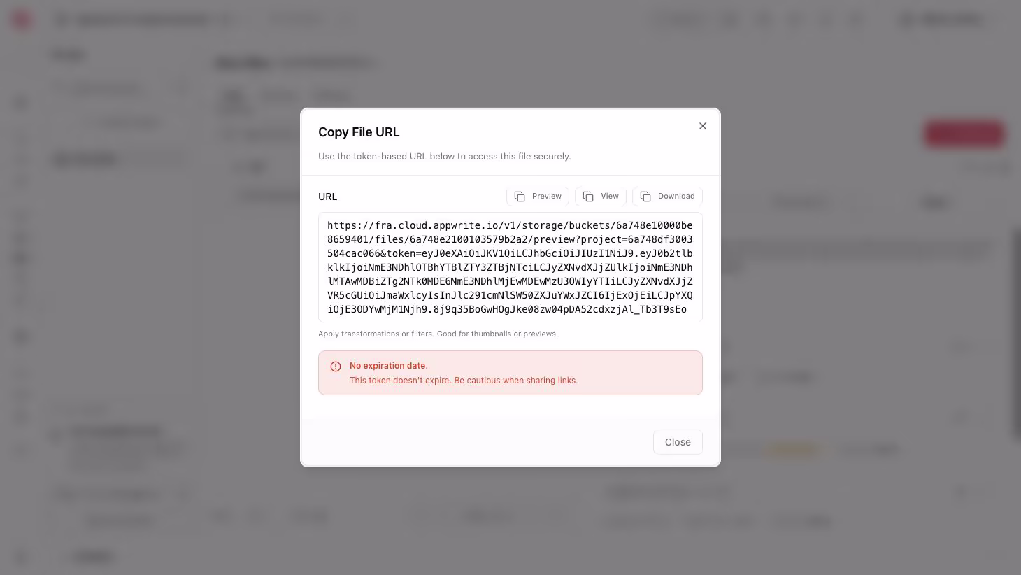Appwrite Console screenshot: copy file token URL for sharing
