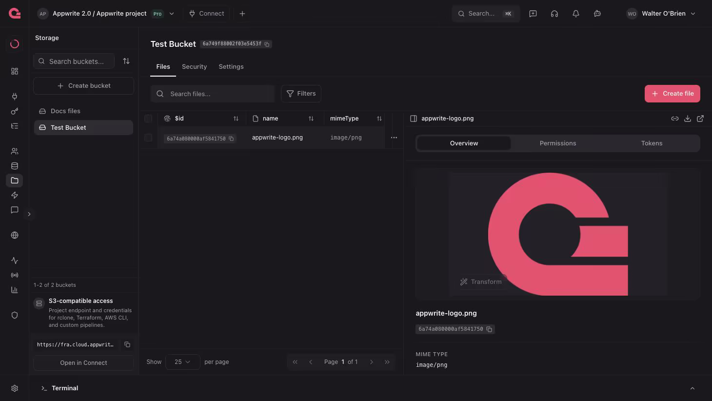 File on Appwrite Storage